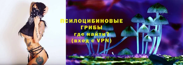 ECSTASY Алексин