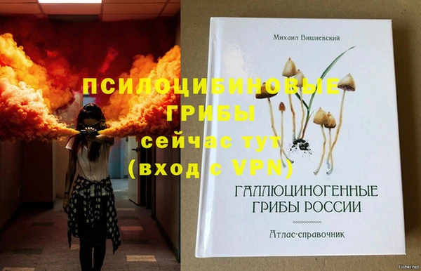герыч Алзамай